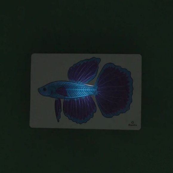 KiwiCo Kiwi Crate Science Kit Veterinarian Doctor's set X-ray lightbox Anatomy M - Picture 14 of 16